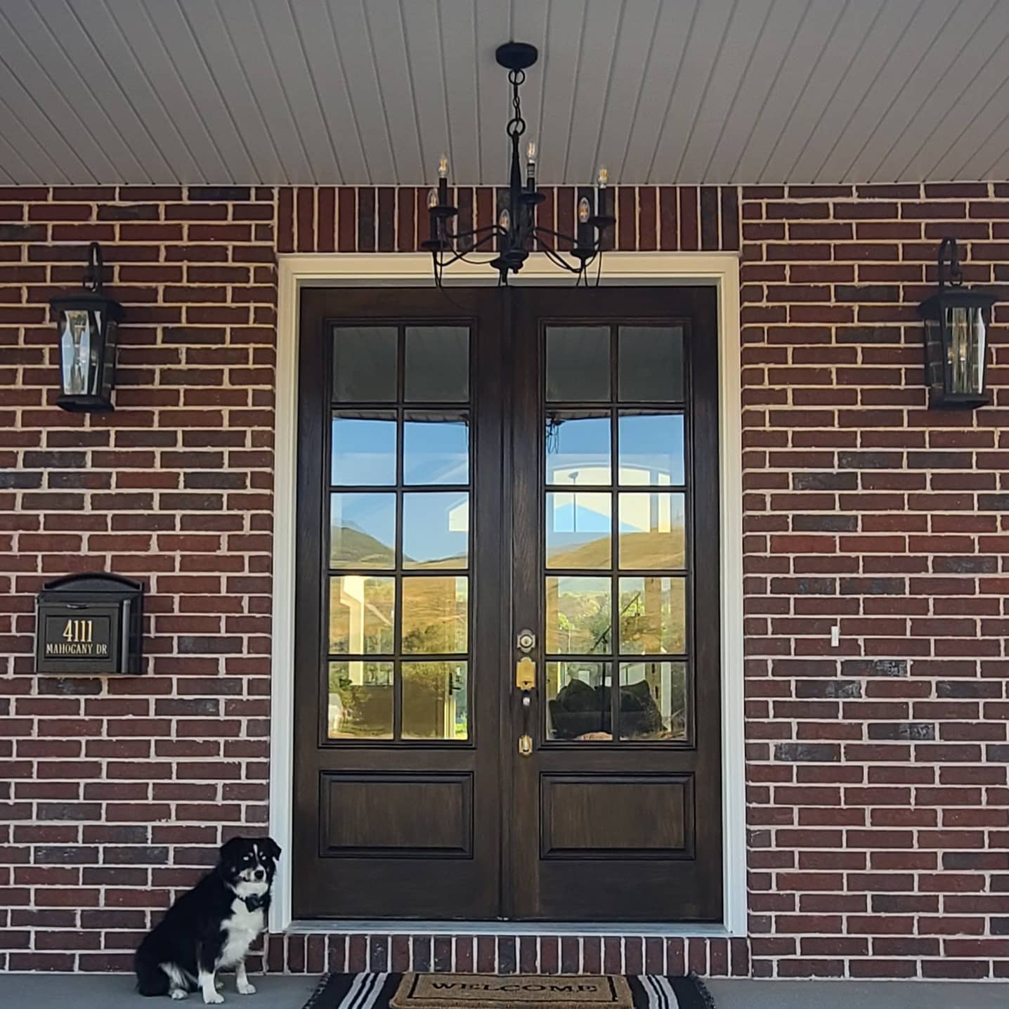 Double wood entry doors on a brick home with a black and white dog sitting in front of the left door.