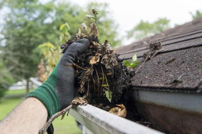A gloved hand pulling leaves and debris from a clogged gutter.