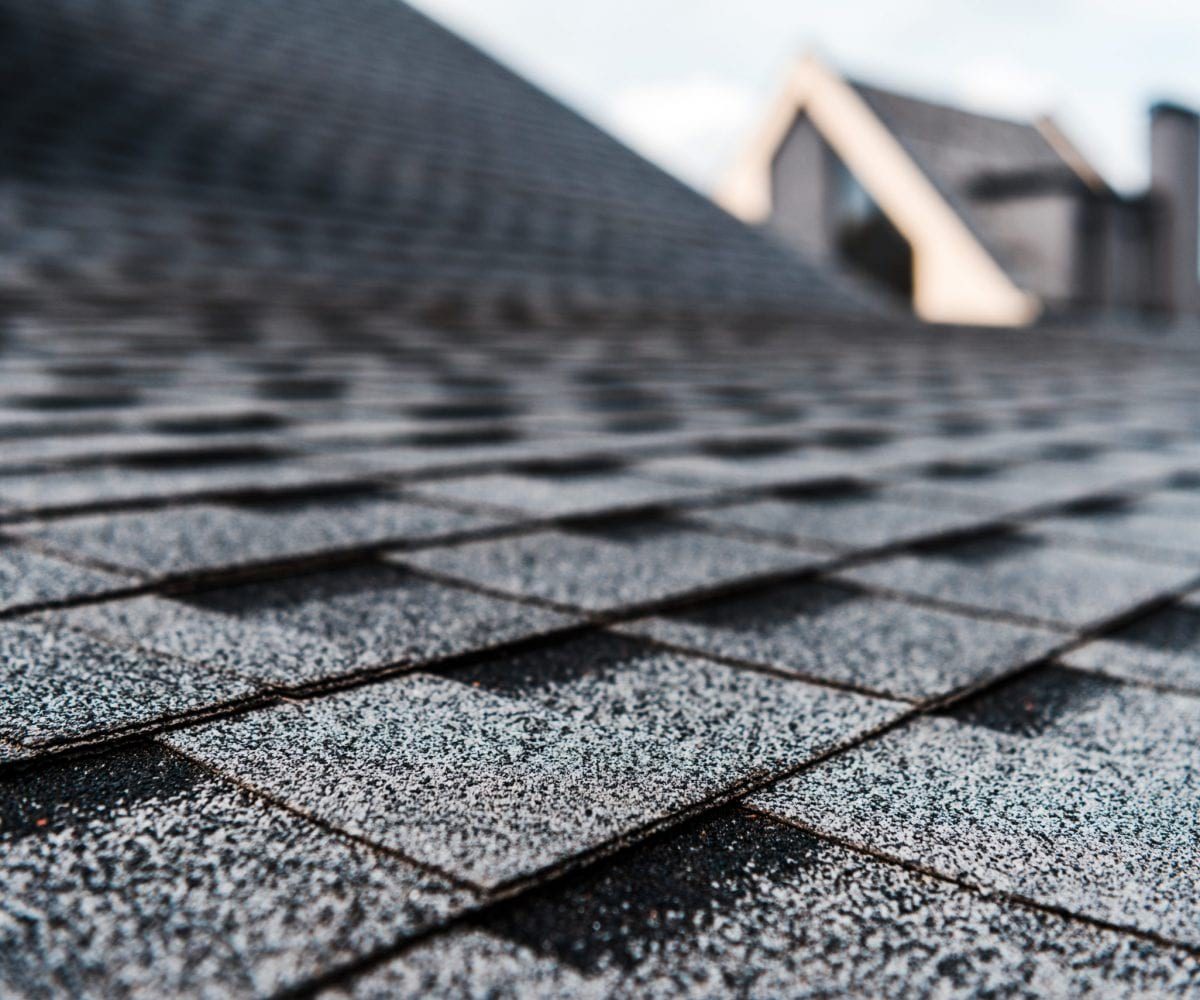 A close up of gray asphalt shingle roofing.
